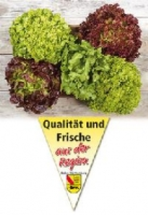 Filderstädter Bunte Salate 0.69 €