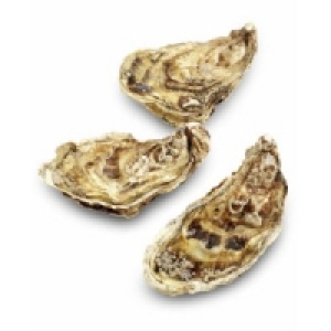 Felsenauster Fine de Claire Nr.2 0.89&nbsp;&euro;