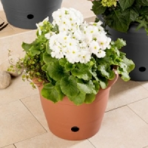 Blumentopf Flora 3.99 €