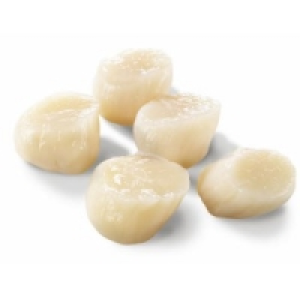 MSC Kammmuschelfleisch 25.99 €