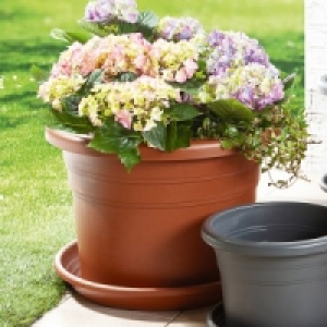 Blumentopf Cilindro 6.49 €