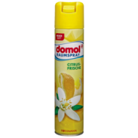 Rossmann Domol Raumspray Citrusfrische
