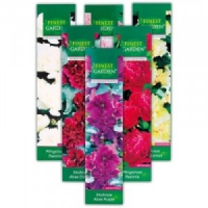 Stockrose / Pfingstrose 2.99 €