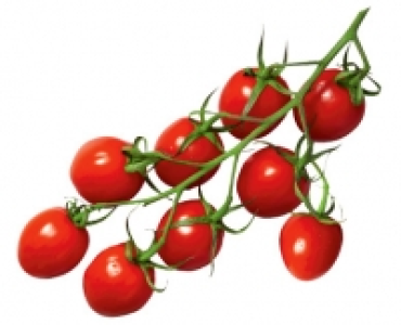 Mini-Romarispentomaten 1.29&nbsp;&euro;