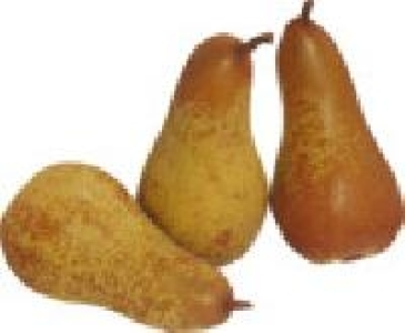 Abate Fetel Birnen 2.99&nbsp;&euro;