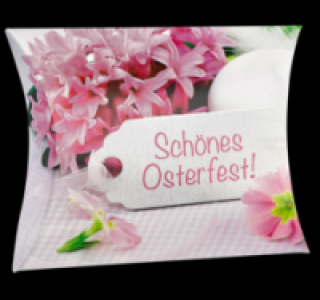 SCHLUCKWERDER Kissenpackung 0.99 €
