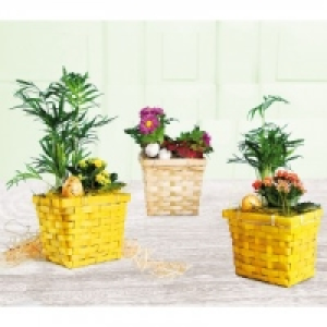 Dekorativer Osterkorb 3.99 €