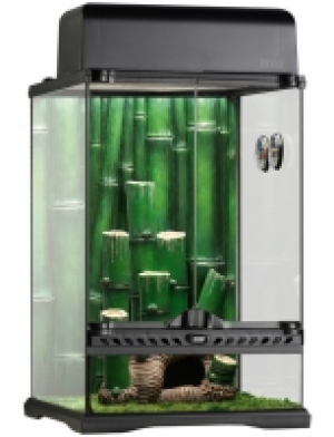 Set: Terrarium »Bamboo Forest Kit«, BxTxH: 33x33x48 cm