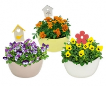 GARDENLINE®Bepflanzte Frühlingsschale