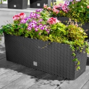 Pflanzkasten 2in1 39.99 €