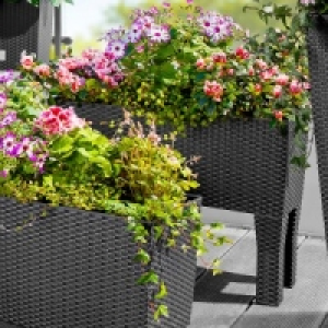 Pflanzkasten 2in1 22.99 €