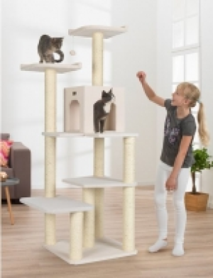 Kratzbaum »Gismo«, B/T/H: 79/63/173 cm, elfenbeinfarben