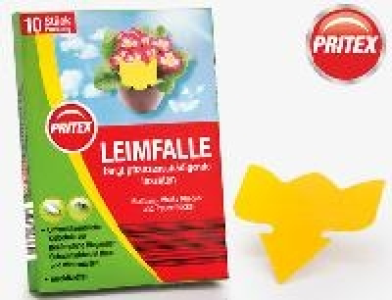 Pritex Leimfallen