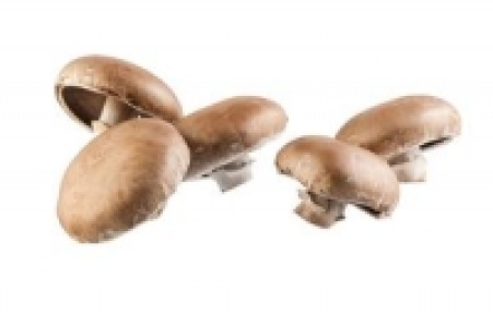 Denns  Riesenchampignons Portobello