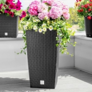XL-Pflanzsäule 19.99 €