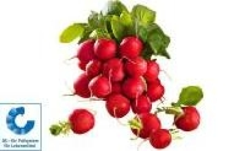 Radieschen 0.29 €