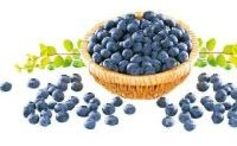 Heidelbeeren 1.79 €