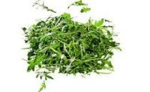 Rucola Salat 0.69 €