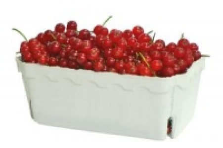 Rote Johannisbeeren 2.99 €