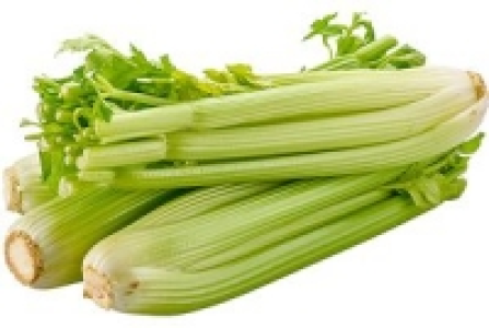 Stangensellerie 1.99 €