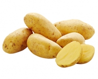 Aldi Süd  Bio-Speisefrühkartoffeln