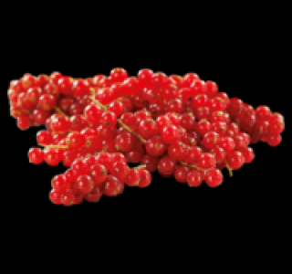 Rote Johannisbeeren 1.69 €