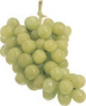 Trauben hell, rot 2.99 €