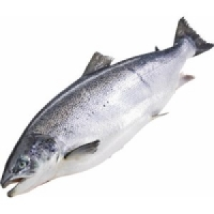 B&ouml;mlo Lachs 9.49&nbsp;&euro;