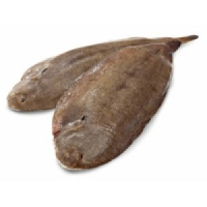 Seezunge