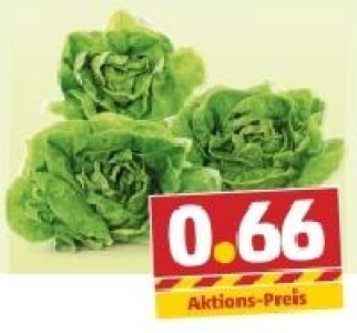 Kopfsalat