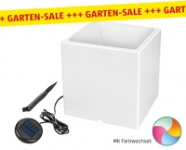 Aldi Süd  GARDENLINE®LED-Solar-Blumentopf