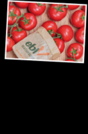 Strauchtomaten 3.47 €