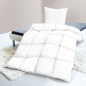 Kassettenbett 24.99 €