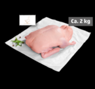 Junge Ente 3.99&nbsp;&euro;