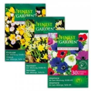 Herbstblumenzwiebeln im Netzbeutel 0.99 €