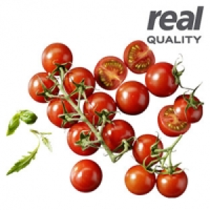 Niederlande Cherryrispentomaten Sweetpearl oder San Marzano Kennze 100.00&nbsp;&euro;