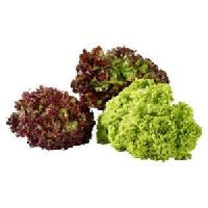 Deutschland Bunte Salate 0.49&nbsp;&euro;