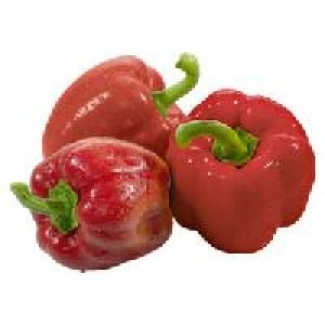 Spanien Niederlande Paprika, rot 1.39&nbsp;&euro;