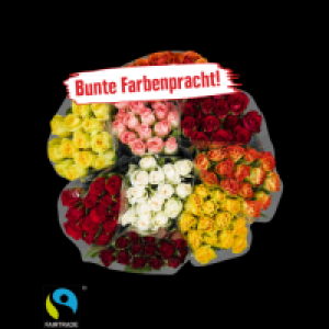 Edeka  Lieblingsblume Fairtrade Rosen