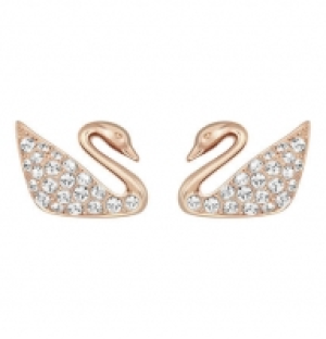 Swarovski Ohrstecker Schwan mini IP rosé 5144289