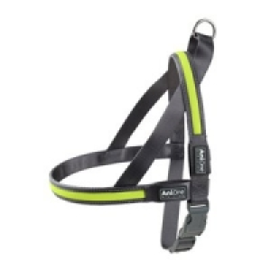 AniOne LED-Leuchtgeschirr 8.99 €