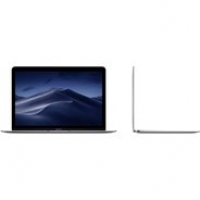 Euronics Apple MacBook 12 Zoll (MNYF2D/A) spacegrau