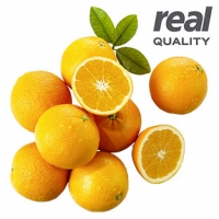 Real  Südafrika Orangen oder Saftorangen Kennzeichnung siehe Etikett, jedes 