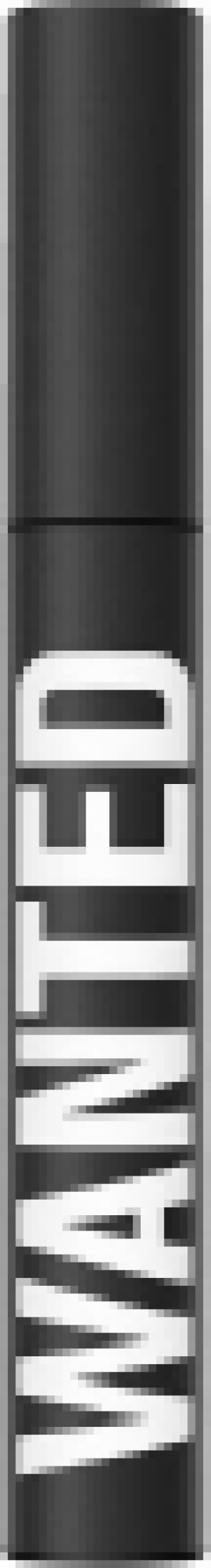 Rossmann Lor&eacute;al Paris Isabel Marant WANTED BROW POLISHER 01 Universal