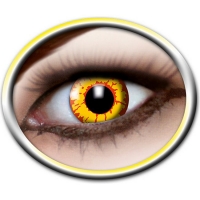 Netto  Kontaktlinsen 3-Monatslinsen verschiedene Motive