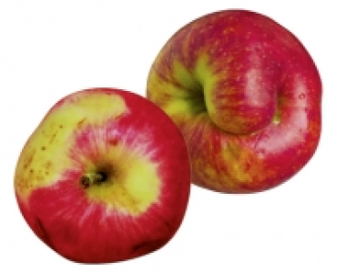Wetteräpfel 1.89 €