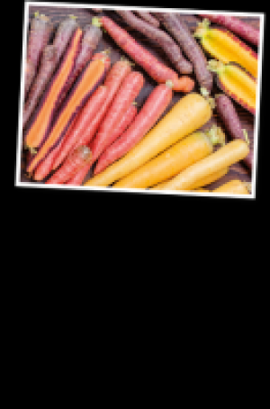 Bunte Karotten 1.67 €
