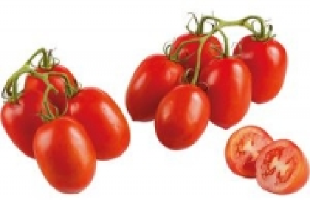 Denns  Bio-Cherry-Strauchtomaten