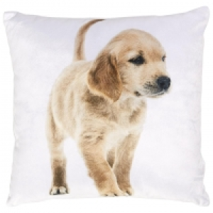 Zierkissen Pucki (30x30, Puppy) 3.99 €