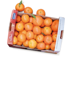 Ebl Naturkost Italienische Clementinen in der 2,3-kg-Kiste